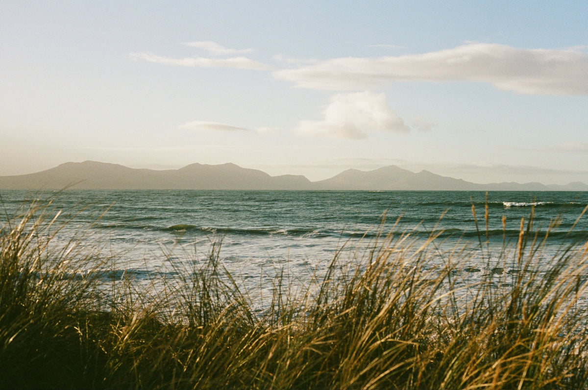 A scenic landscape photograph of a calm sea with distant mountains under a pale sky, framed by golden beach grass in the foreground.